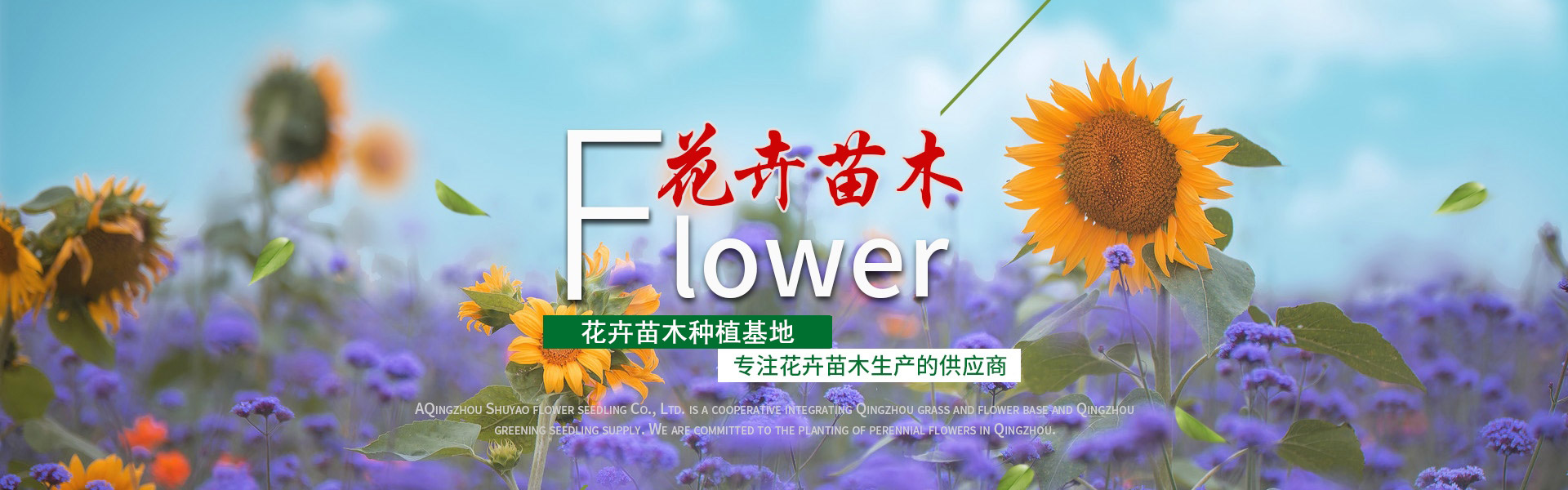 Qingzhou Shuyao Flower and Seedling Co., Ltd.