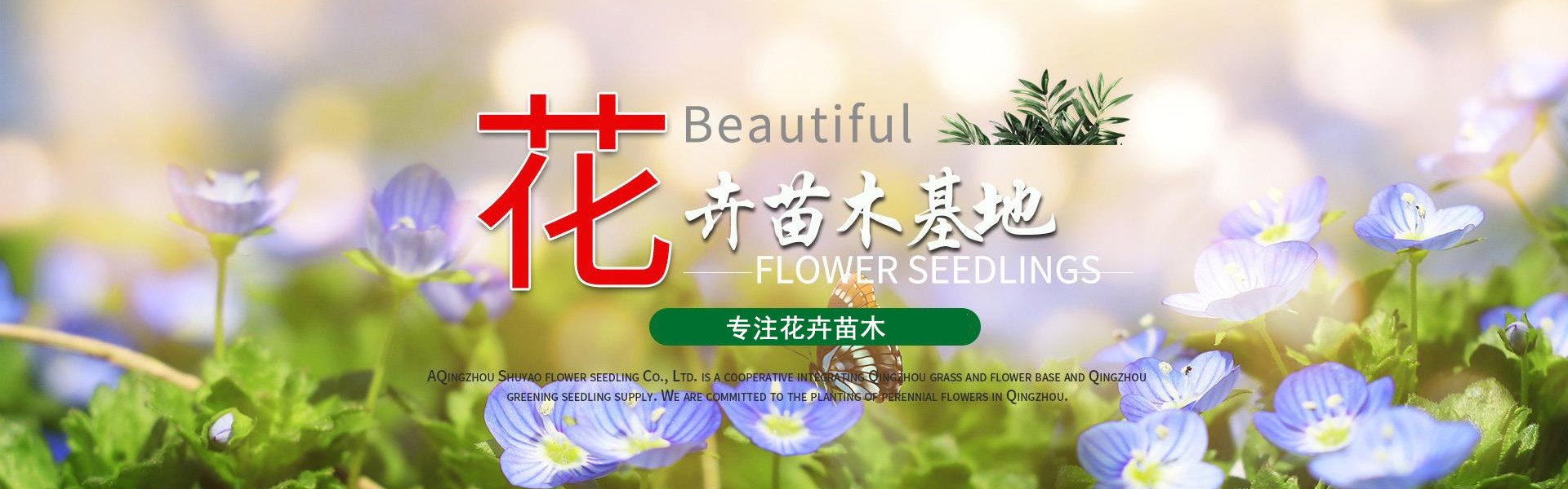 Qingzhou Shuyao Flower and Seedling Co., Ltd.