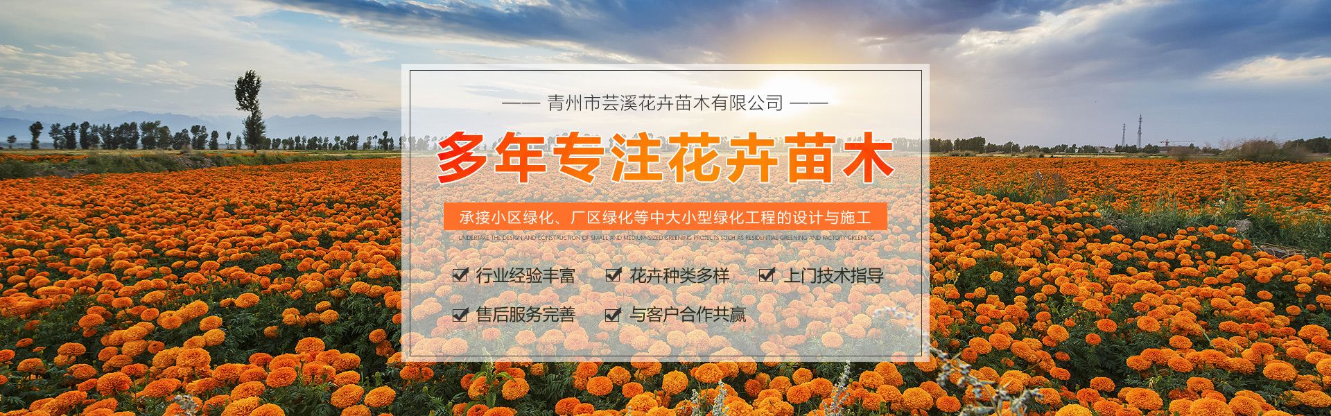 Qingzhou Yunxi Flowers and Trees Co., Ltd.