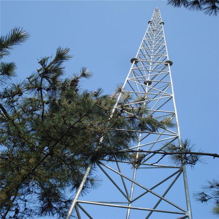避雷塔厂家