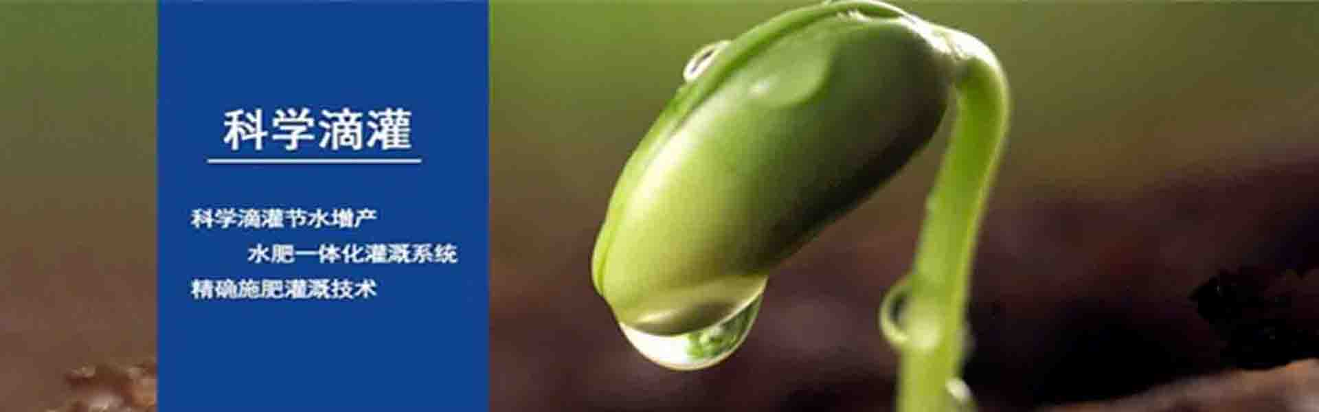 JinHaiYu Micro-Spray Tape Factory in Qingzhou