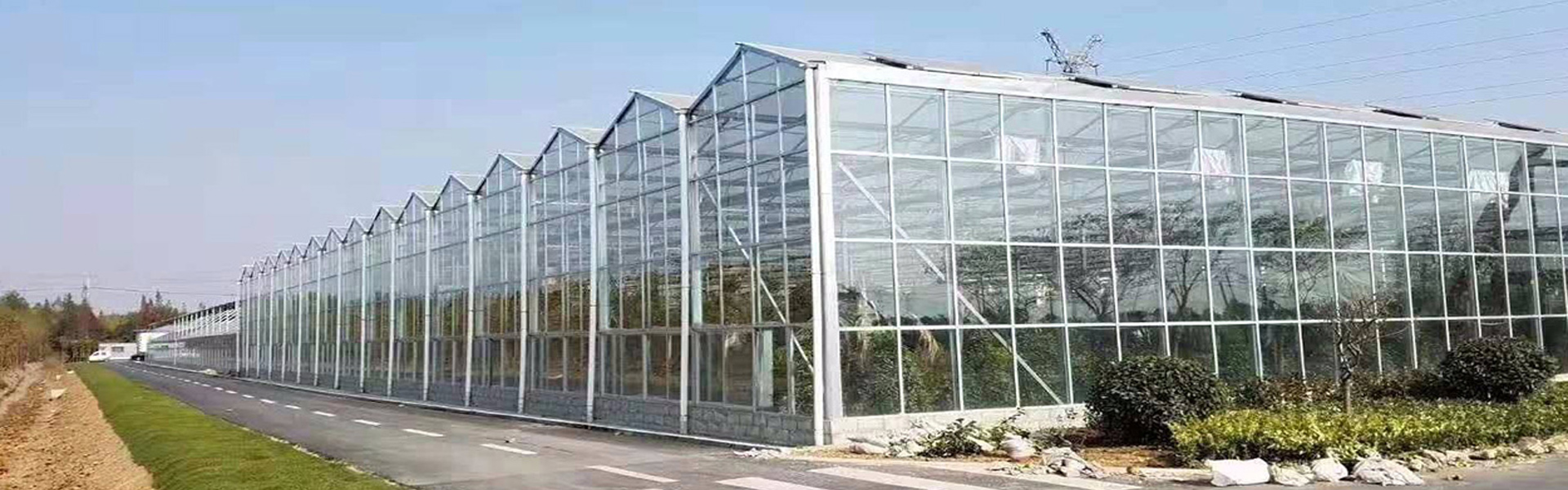 Qingzhou Yixin Greenhouse Engineering Co., Ltd.