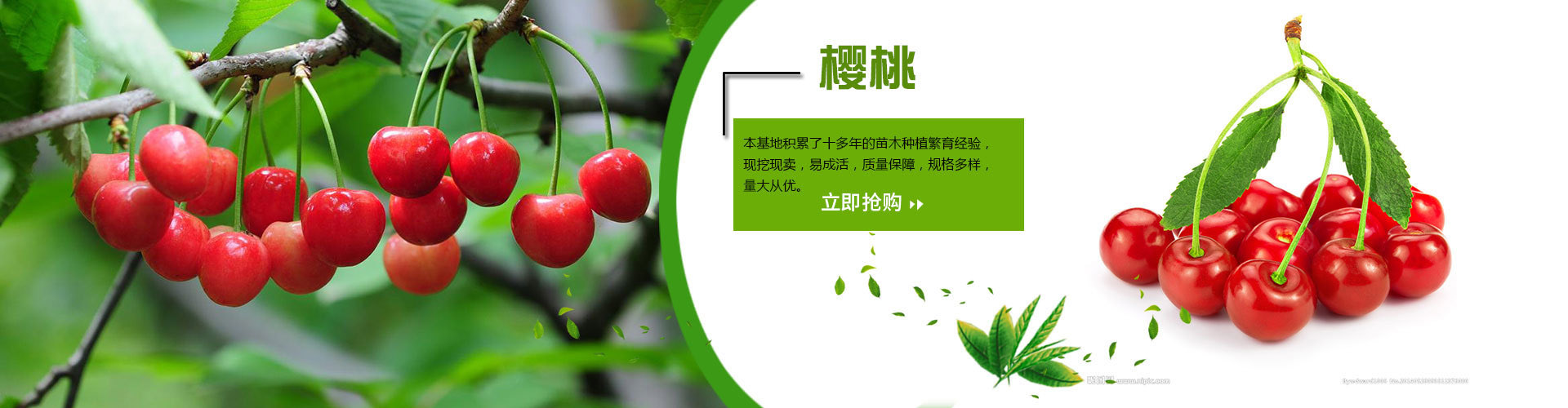 Taian Development Zone Spring, Summer, Autumn, Winter Garden Center