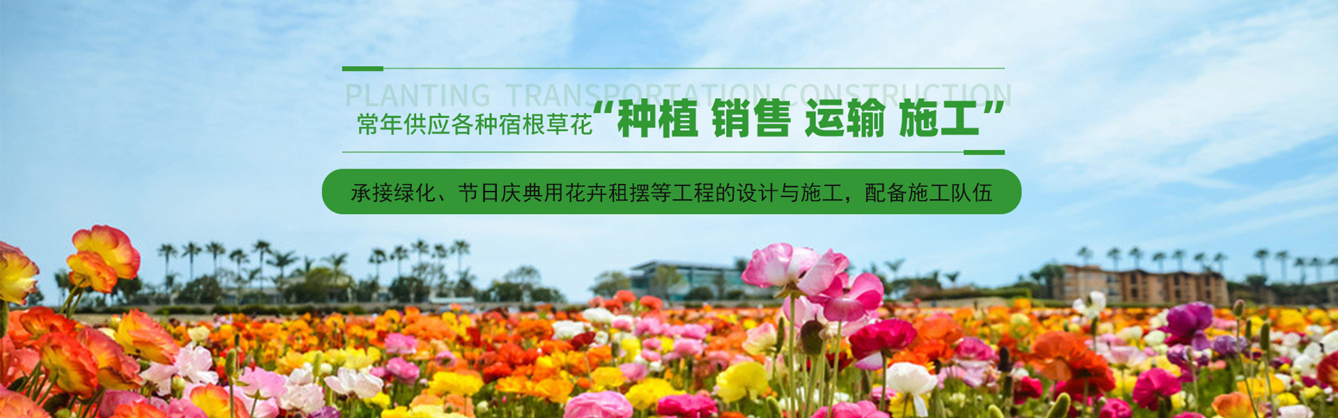 Qingzhou Yaying Flower and Seedling Co., Ltd.