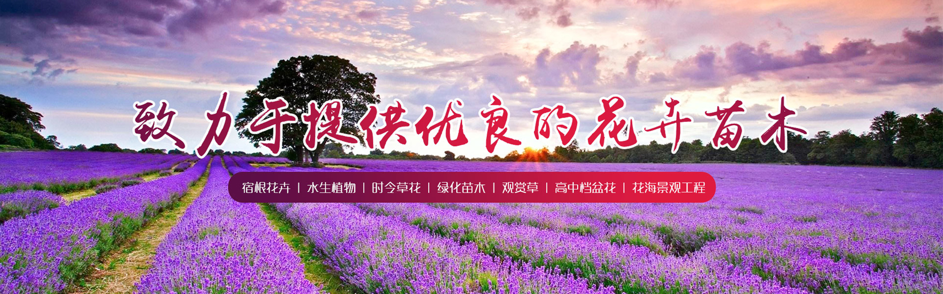 Qingzhou Yaying Flower and Seedling Co., Ltd.