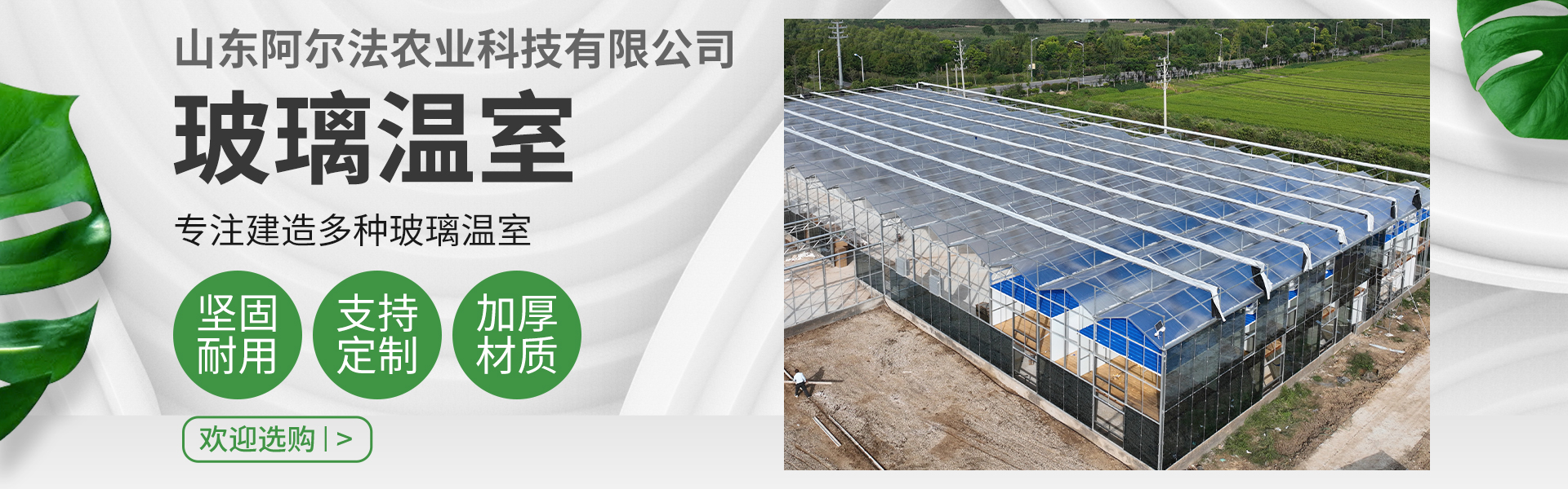 Shandong Alpha Agricultural Technology Co., Ltd.
