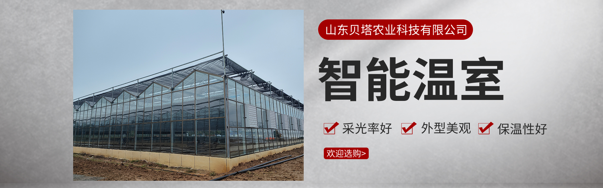 Shandong Beta Agriculture Technology Co., Ltd.