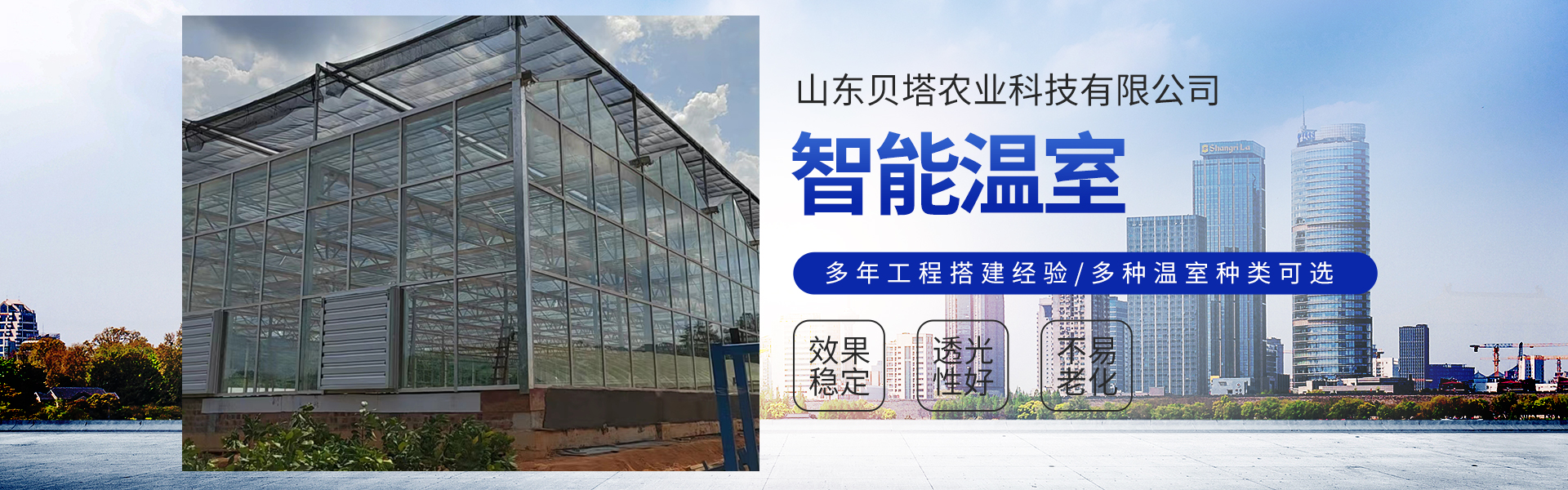 Shandong Beta Agriculture Technology Co., Ltd.