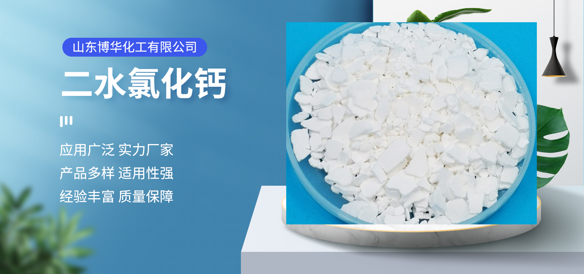 Shandong Bohua Chemical Co., Ltd.