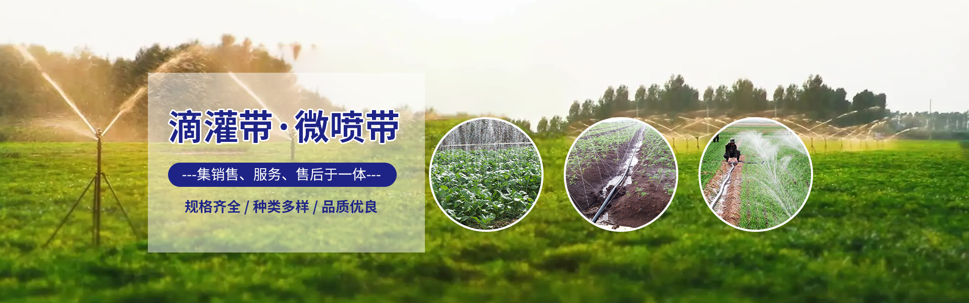 Qingzhou Gaoliu Jinfengshui Belt Factory