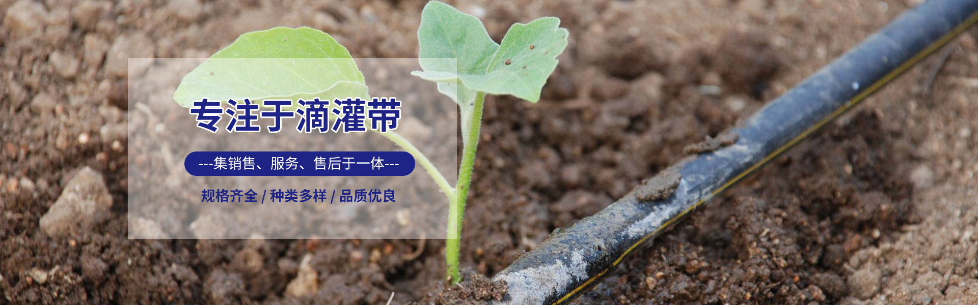 Qingzhou Gaoliu Jinfengshui Belt Factory